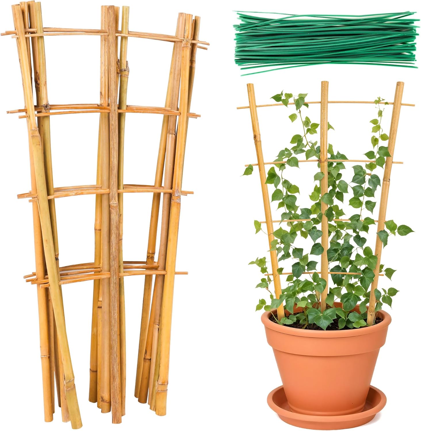 Bamboo Trellis 24pack 16 Inch for Climbing Plants Indoor