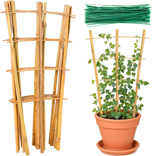 Bamboo Trellis 24pack 16 Inch for Climbing Plants Indoor