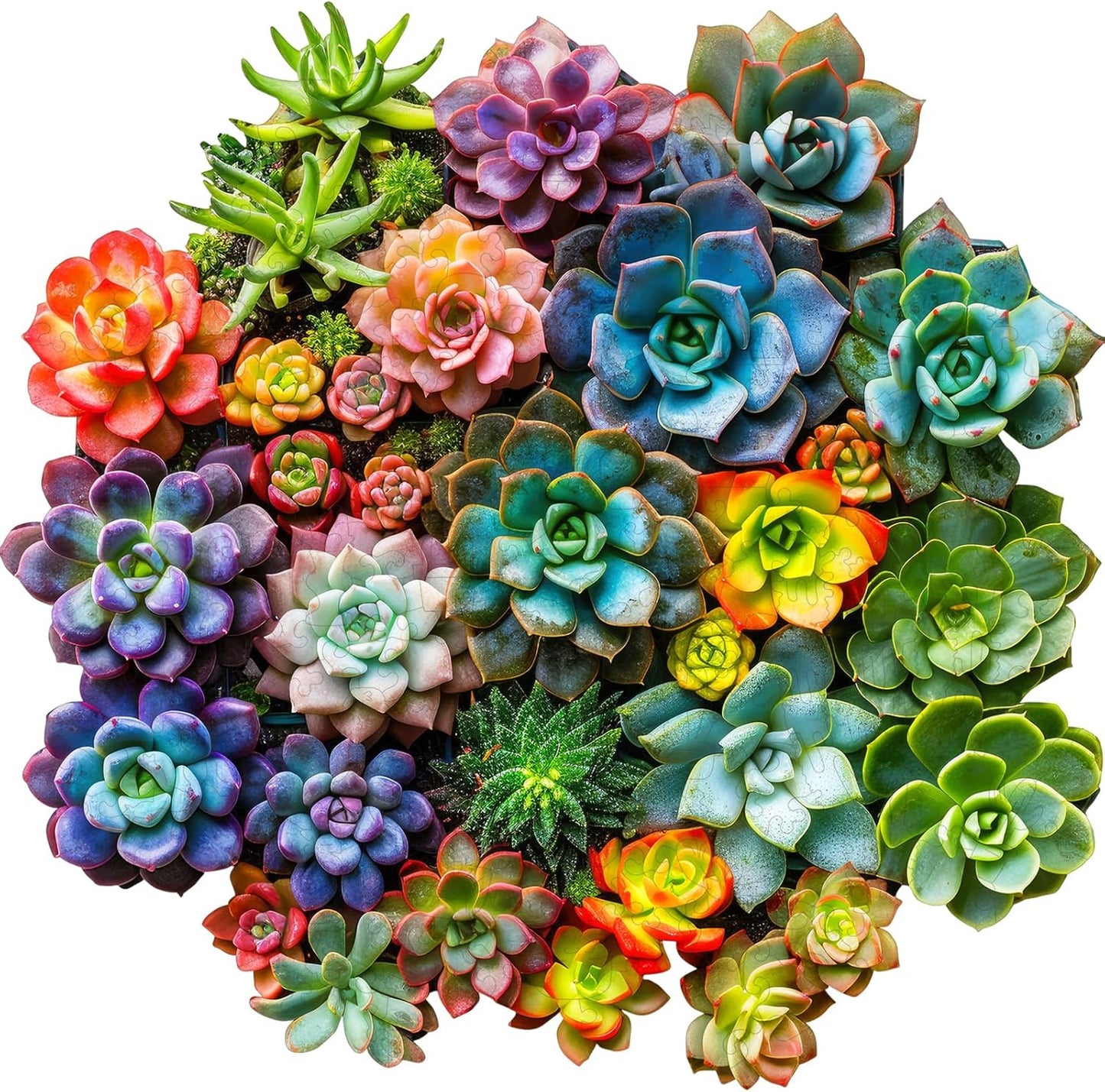 Succulent Plants Wooden Puzzles for Adults - Unique 500 Piece Fun