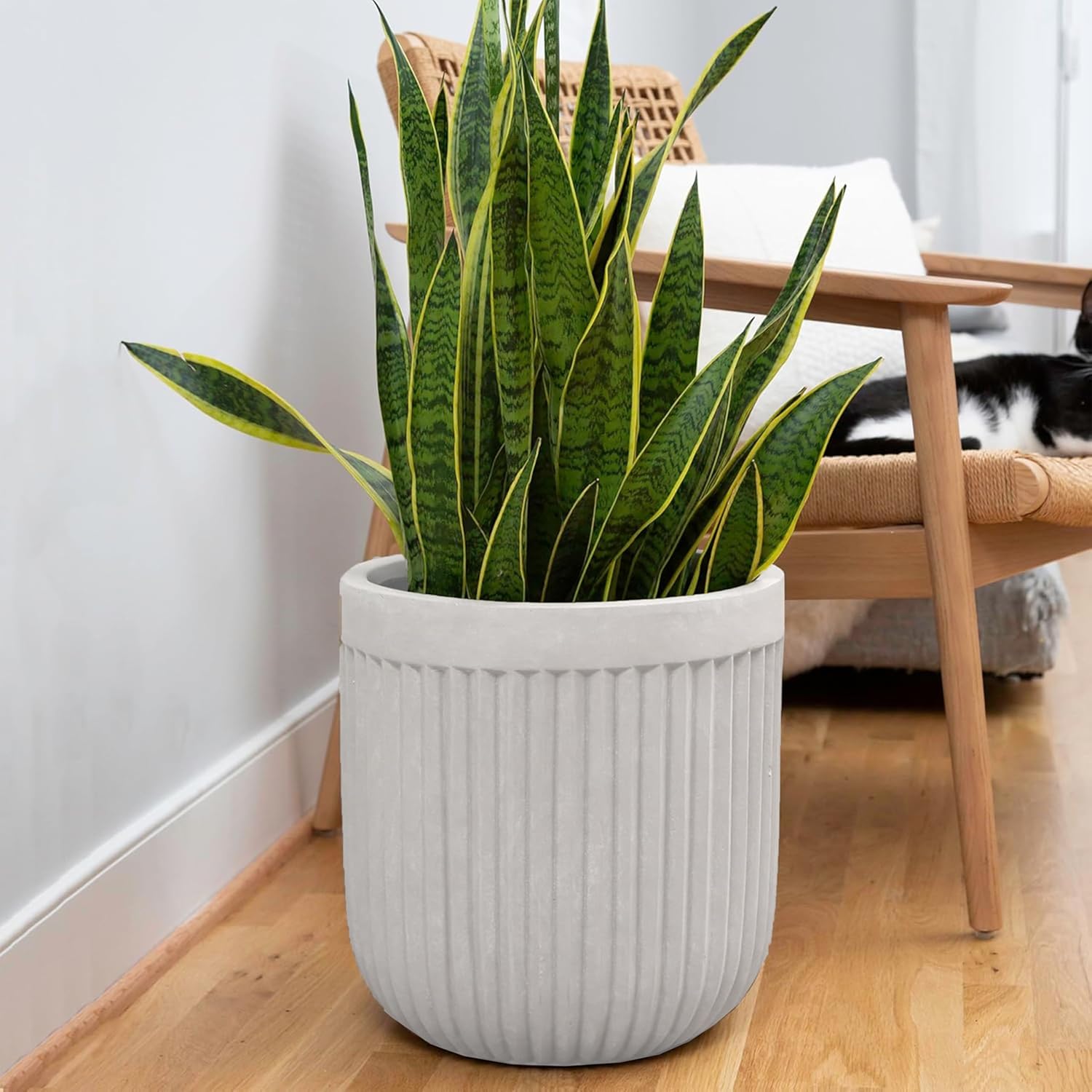Large Fluted Concrete Planter for Indoor and Outdoor Use