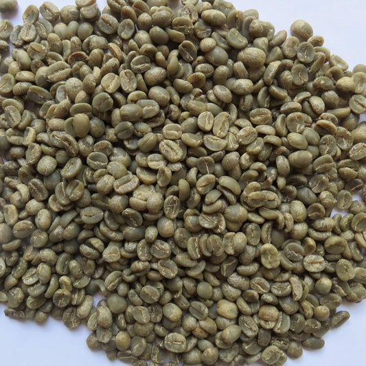 10 Lb Specialty Grade Unroasted Green Coffee Beans from Nicaragua