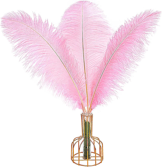 Natural Pink Ostrich Feathers for Elegant Wedding Decor