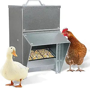 Rural365 25lb Capacity Galvanized Chicken Feeder for Your Coop