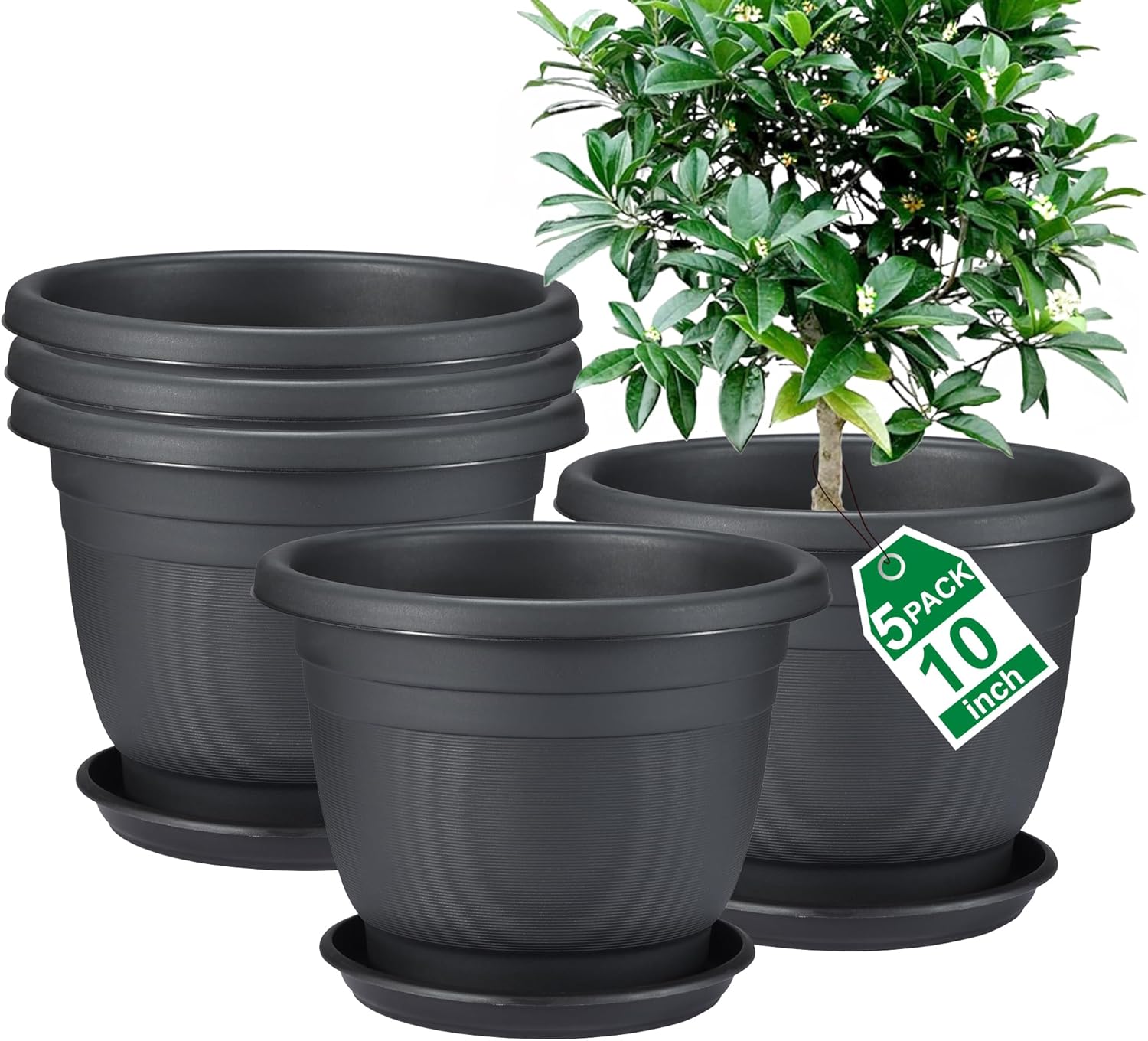 10 Inch Plant Pots with Saucer - Perfect for Indoor & Outdoor Use