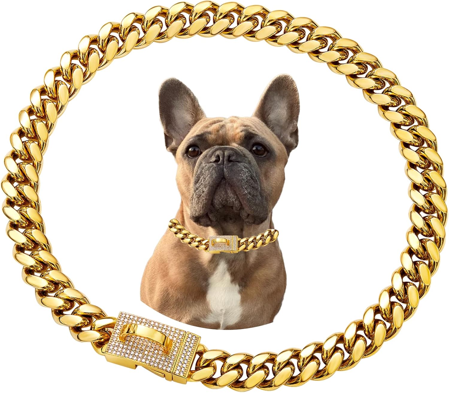 Stainless Steel Gold Chain Dog Collar for Small Medium Large