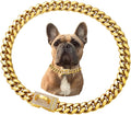 Stainless Steel Gold Chain Dog Collar for Small to Large Dogs