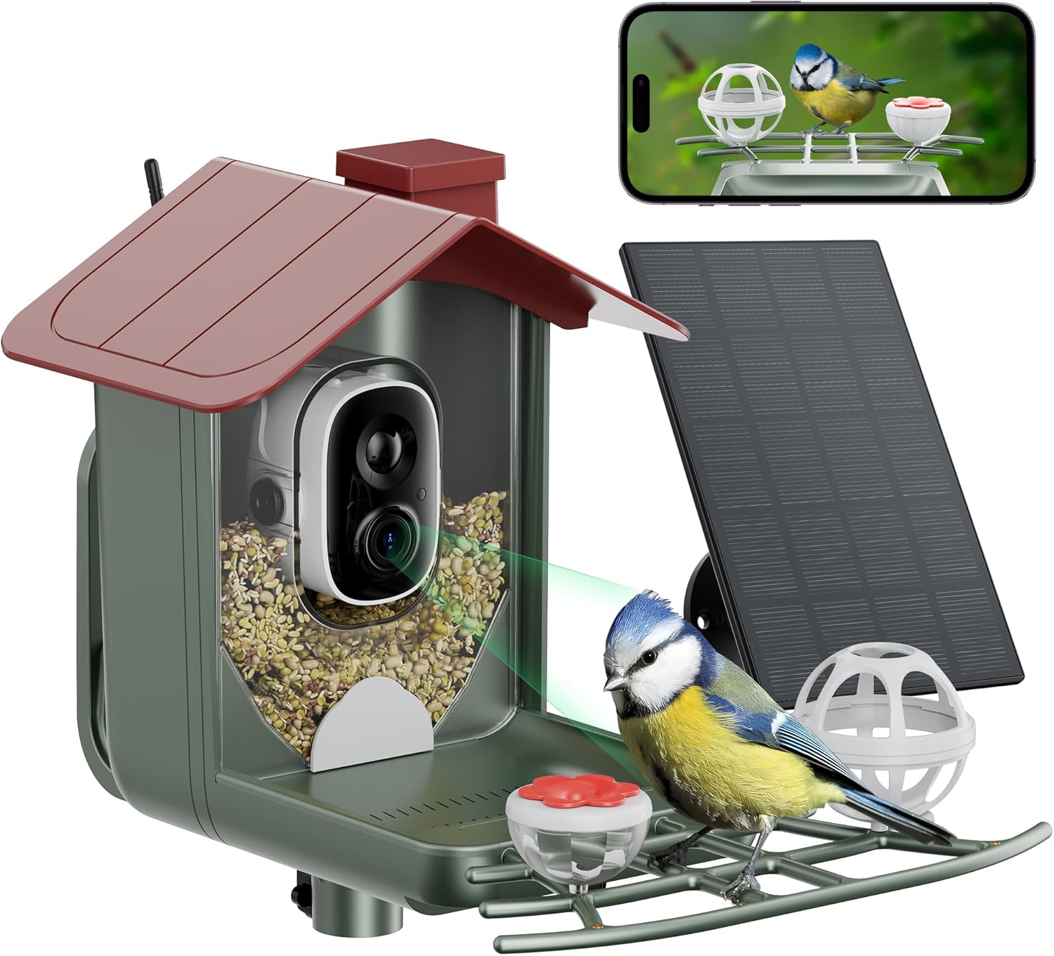 Smart Solar Birdfeeder with HD Camera - AI Recognition, Auto Capture
