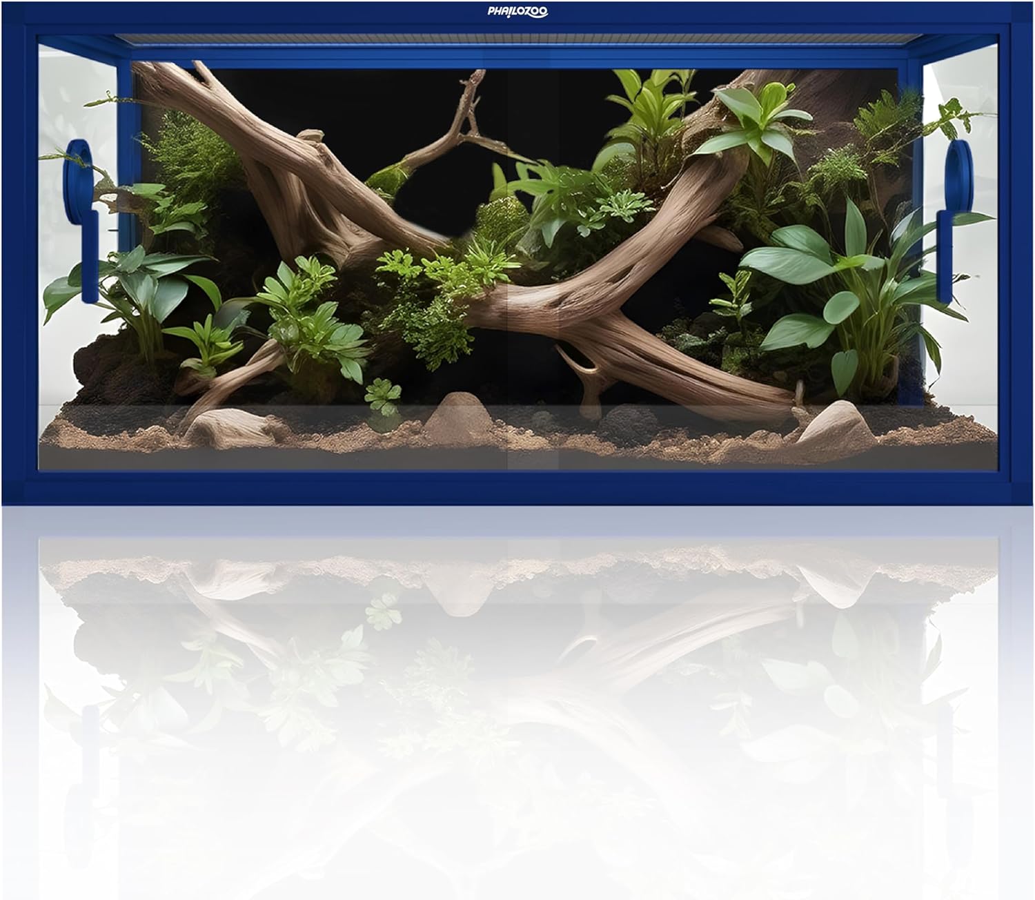 50 Gallon Bearded Dragon Tank for Easy Maintenance & Safety