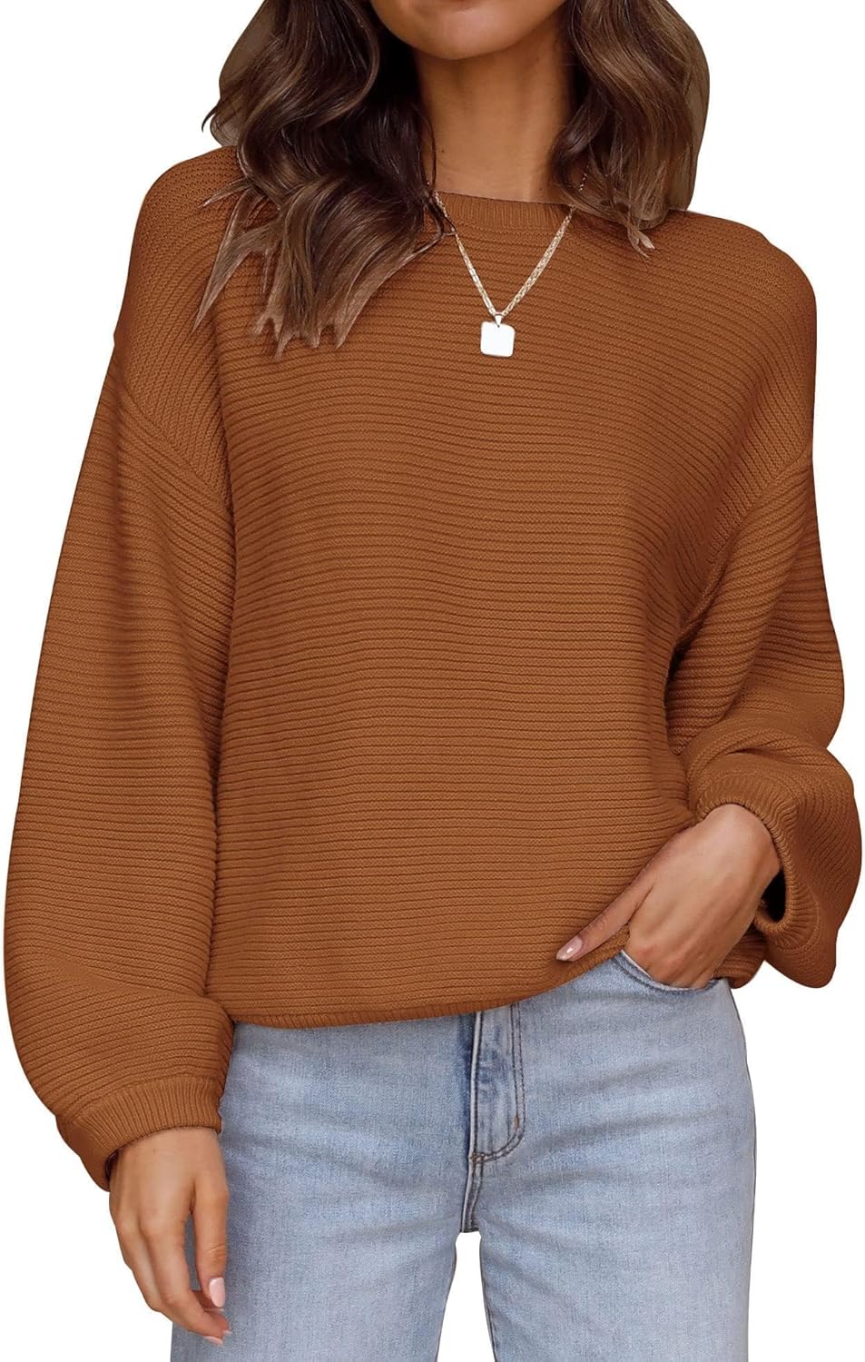 ZESICA Women's Crew Neck Long Lantern Sleeve Pullover Sweater