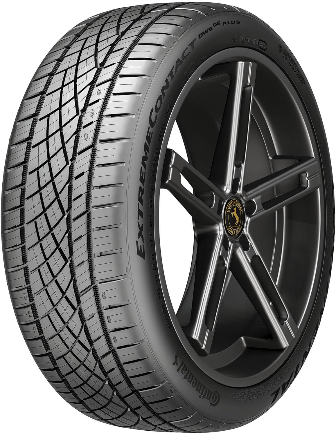 Continental ExtremeContact DWS06 PLUS UHP All Season Tire Review