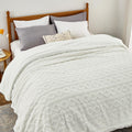 Bedsure Gentlesoft Sherpa Queen Size Blanket - Plush Reversible