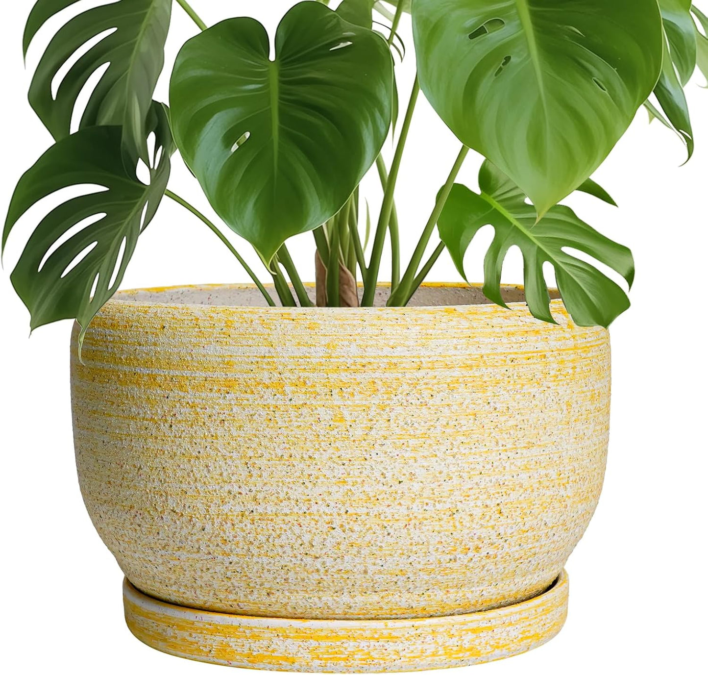 SQOWL Ceramic Planters for Indoor Plants - 10 Inch Yellow Pot