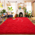 Amearea Premium Soft Fluffy Rug for Cozy Modern Home Decor
