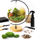 15-Piece Terrarium Kit with Live Moss - Easy DIY Glass Globe Set