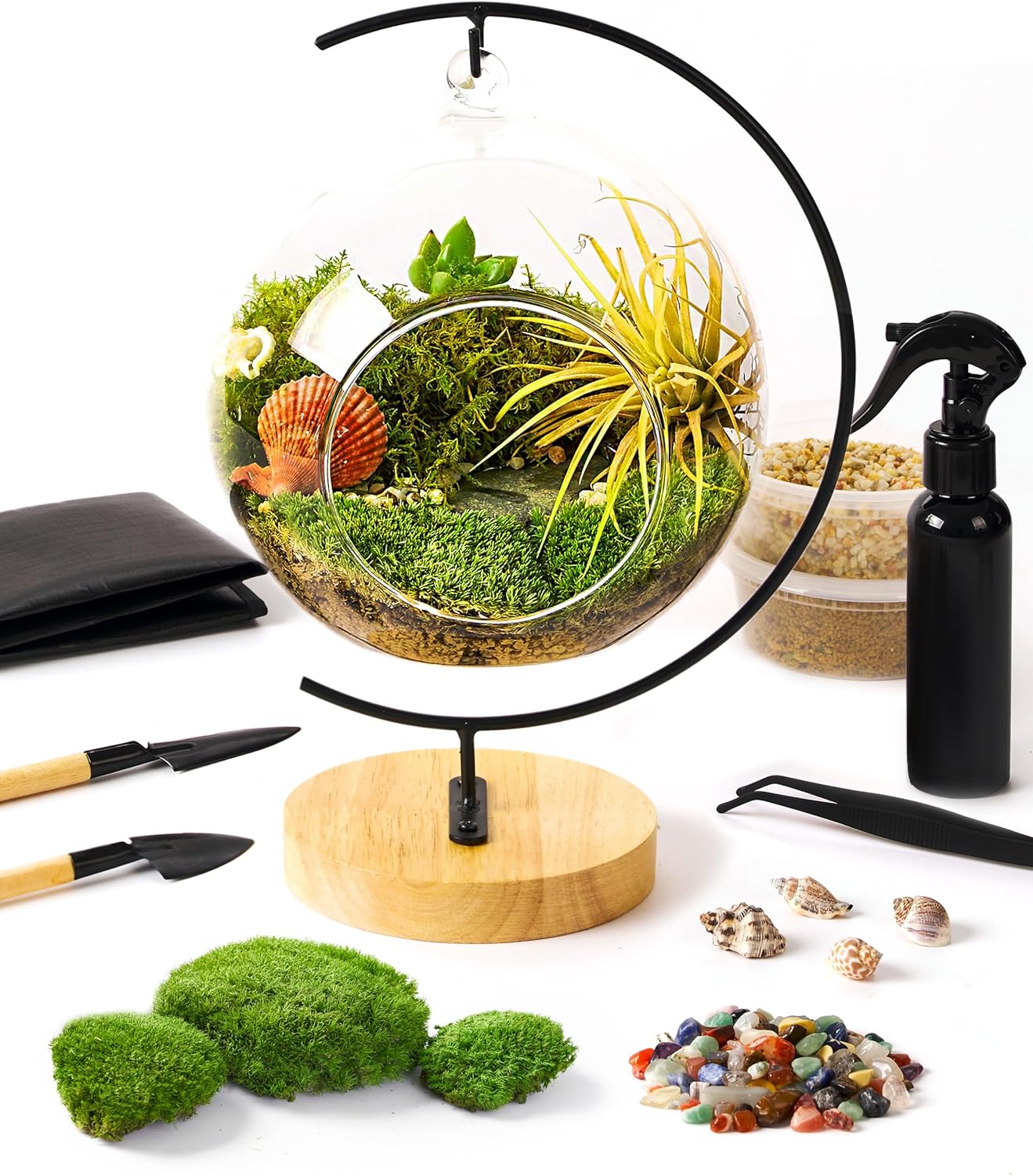 15-Piece Terrarium Kit with Live Moss for Indoor Mini Gardens