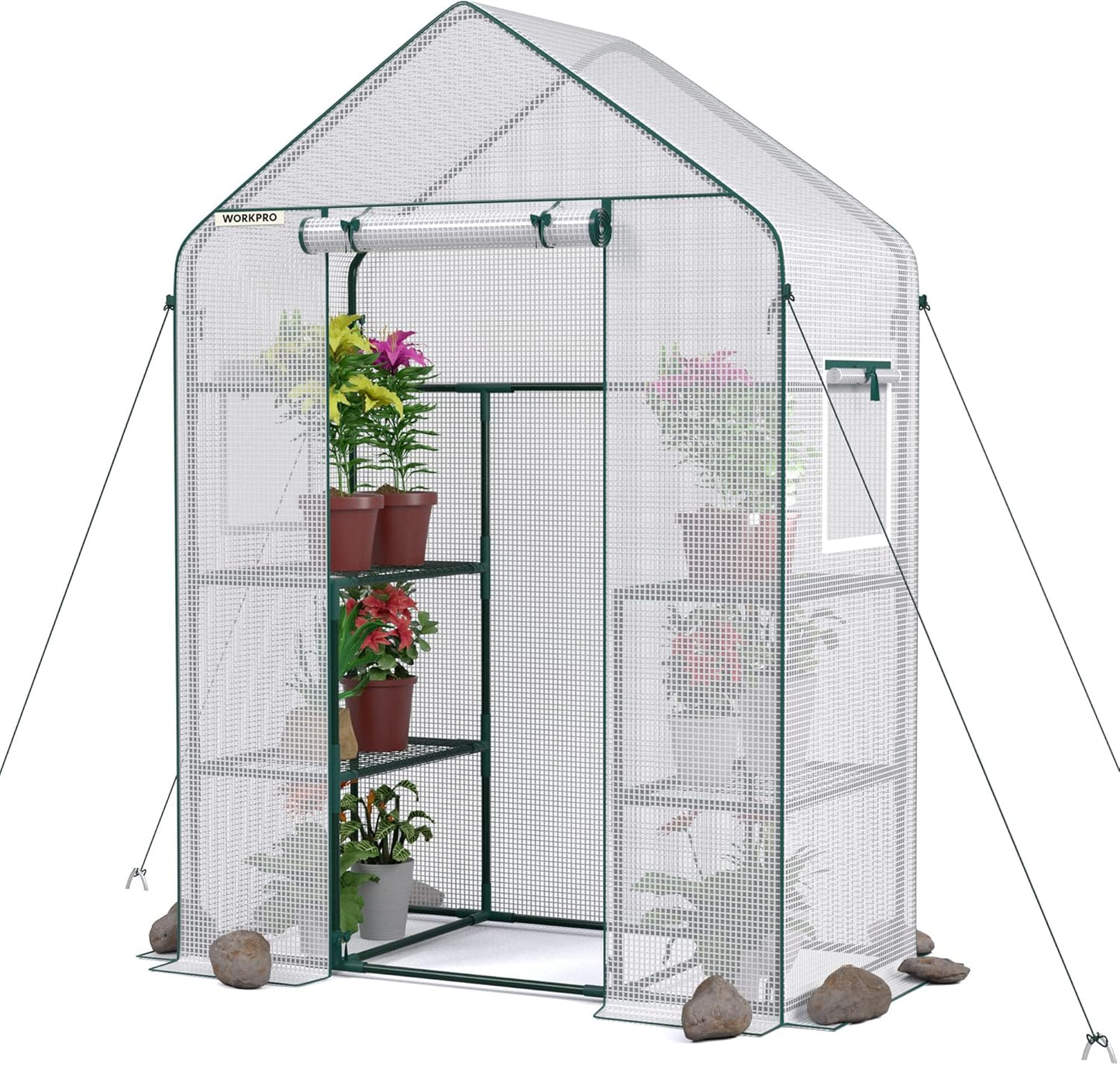WORKPRO Greenhouse: Portable 56in x 28in x 77in Garden Kit