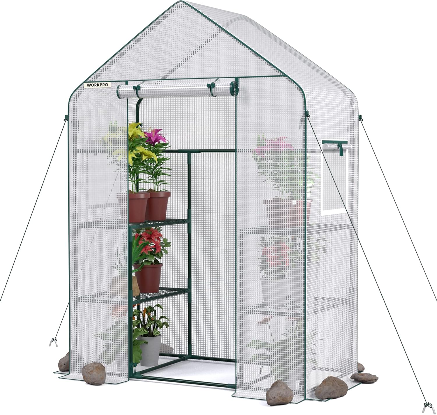 WORKPRO Greenhouse: Portable 56in x 28in x 77in Garden Kit