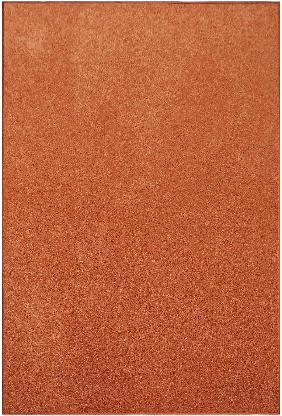 Ambiant Pet Friendly Solid Color Area Rugs for Home Decor