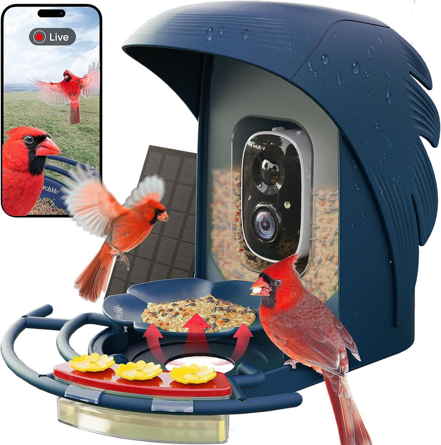 PerchMe Smart Solar Bird Feeder 
