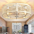 Depuley Flush Mount Ceiling Fan 20in Caged Fan with Lights - Quiet