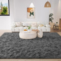 Ultra Soft 5x8 Shag Area Rug - Fluffy Indoor Living Room Rug