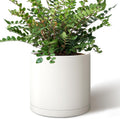 Giraffe Creation 10-Inch Round Cylinder Plant Pot - Modern White