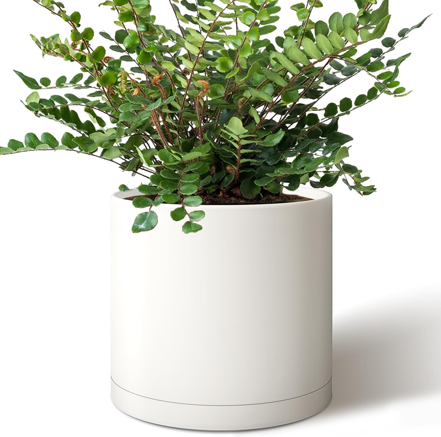 Giraffe Creation 10-Inch Round Cylinder Plant Pot for Home Decor