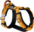 MADE TO ROAM Explorer Harness Michigan Autumn - Size 5, Y-Shaped Fit