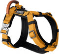Michigan Autumn Explorer Harness Size 4 - Y-Shaped Dog Harness