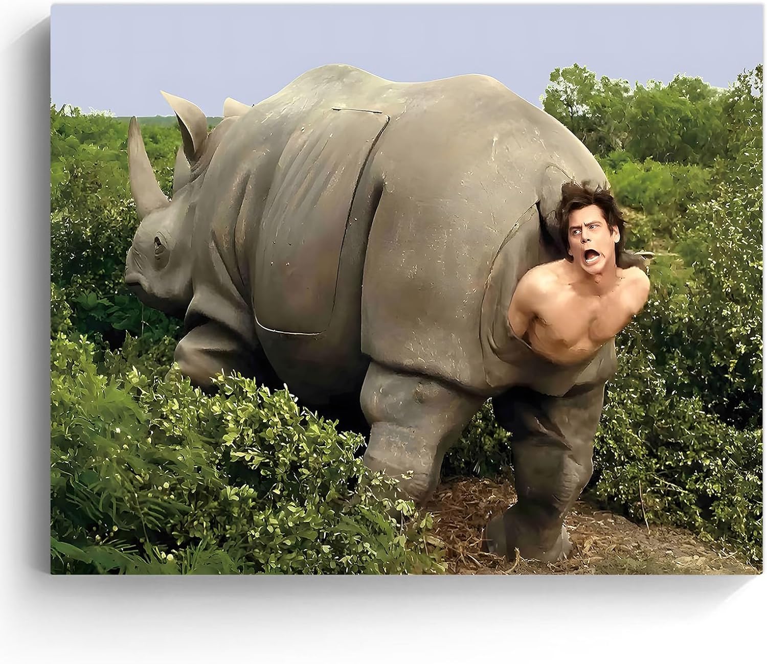 Funny Framed Canvas Wall Art for Bathroom Decor and Humor