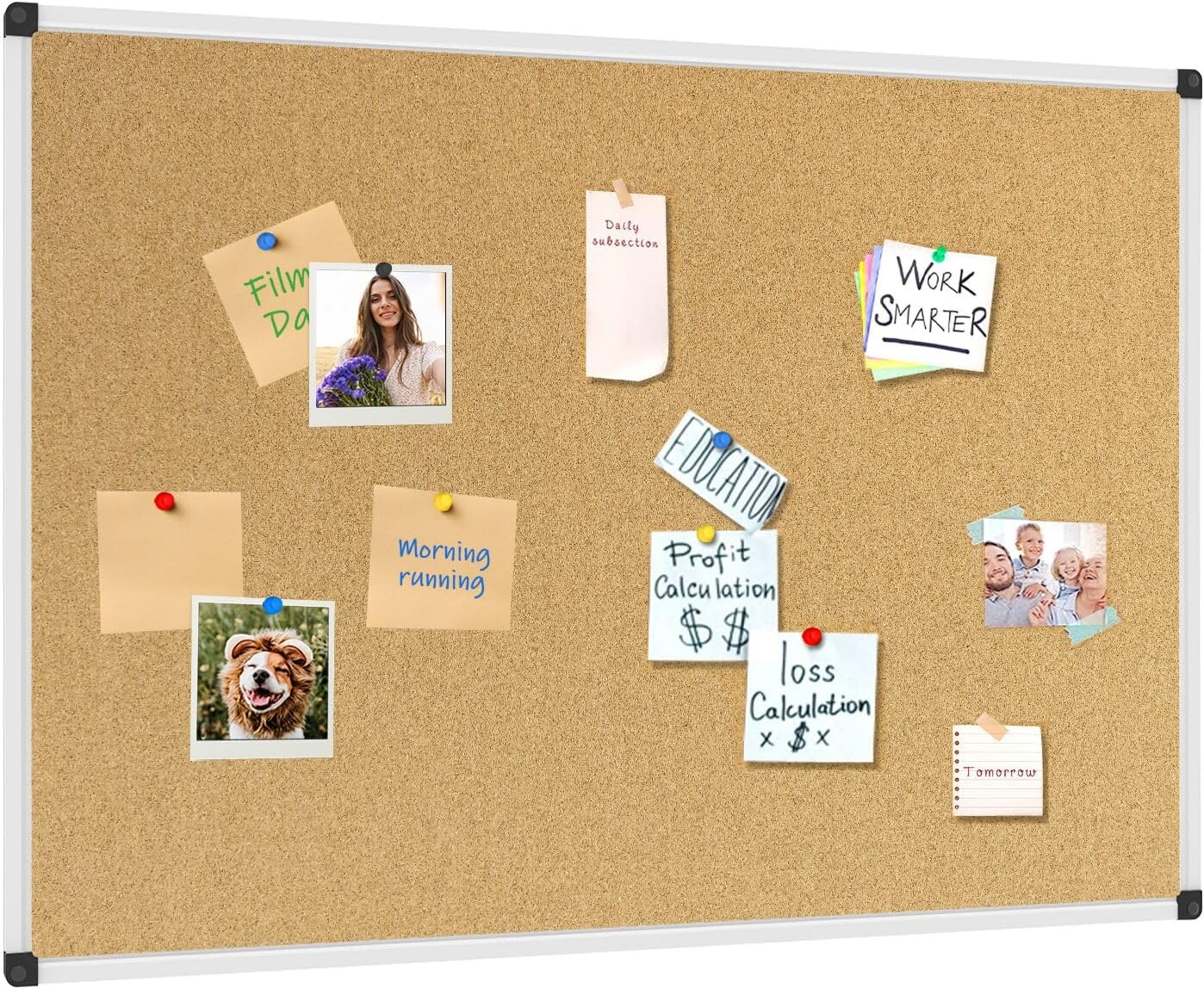 XBoard Cork Board 48 x 36 for Display and Organization Needs