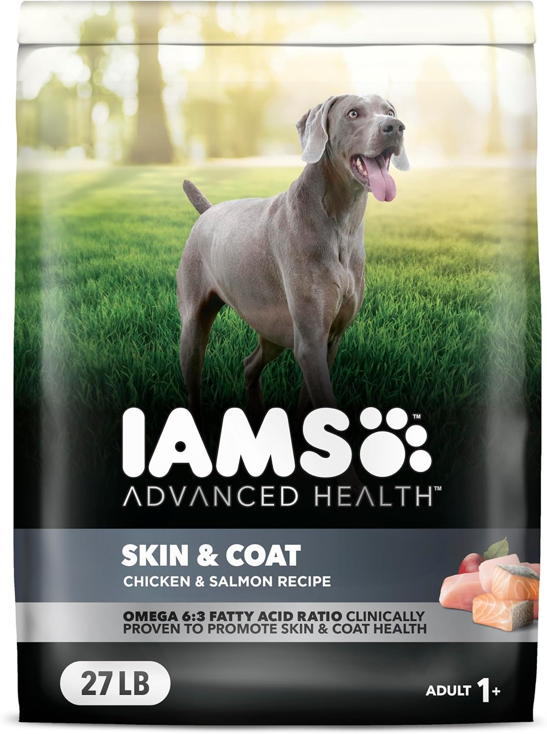 IAMS Advanced Health Skin & Coat Dry Dog Food for Vibrant Coats