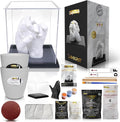 Hand Casting DIY Kit for Couples - Acrylic Display & Wooden Base