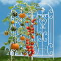Garden Trellis 60 in x 18 in 2-Pack - Vertical Plant Support