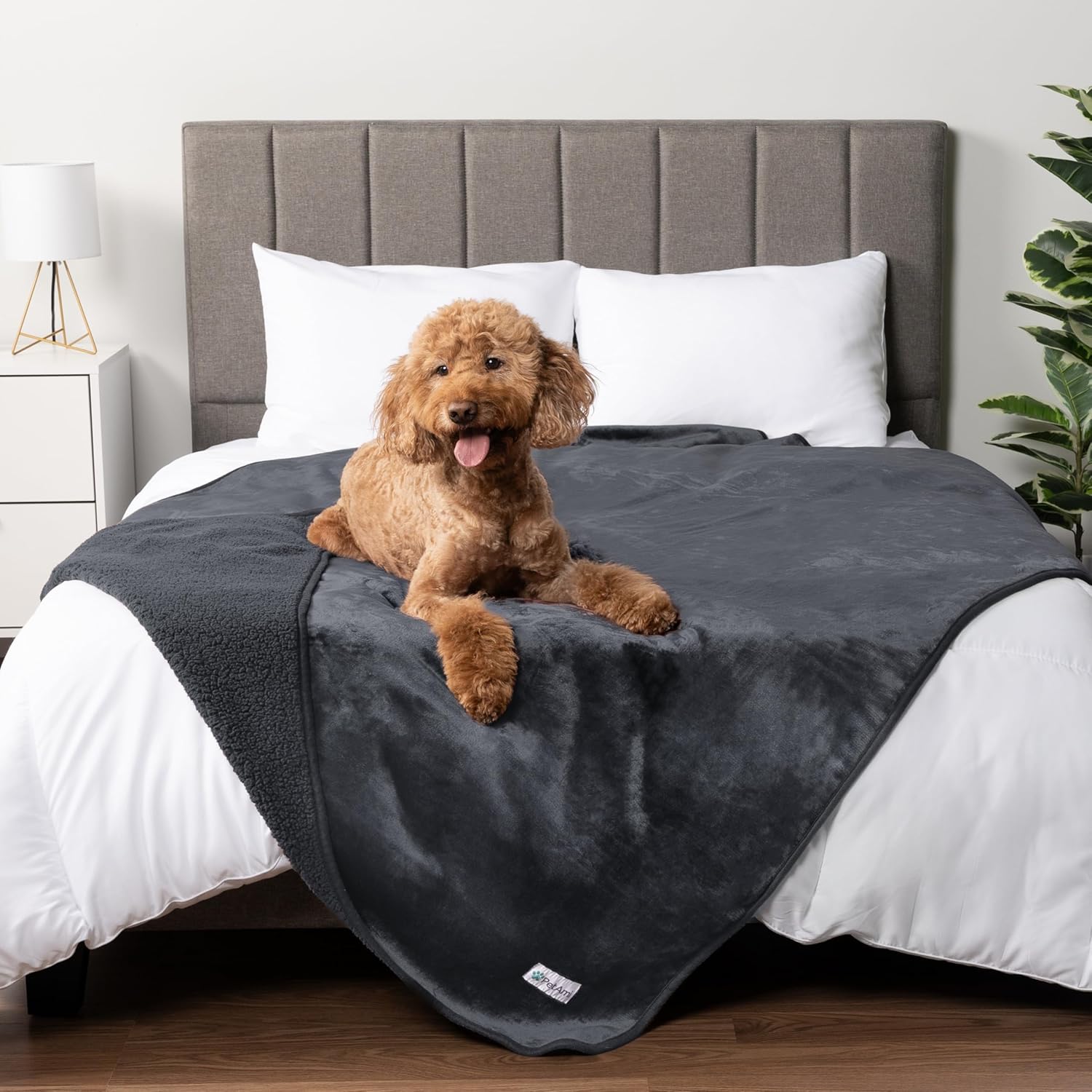 PetAmi Waterproof Dog Blanket for Medium Large Dogs and Cats