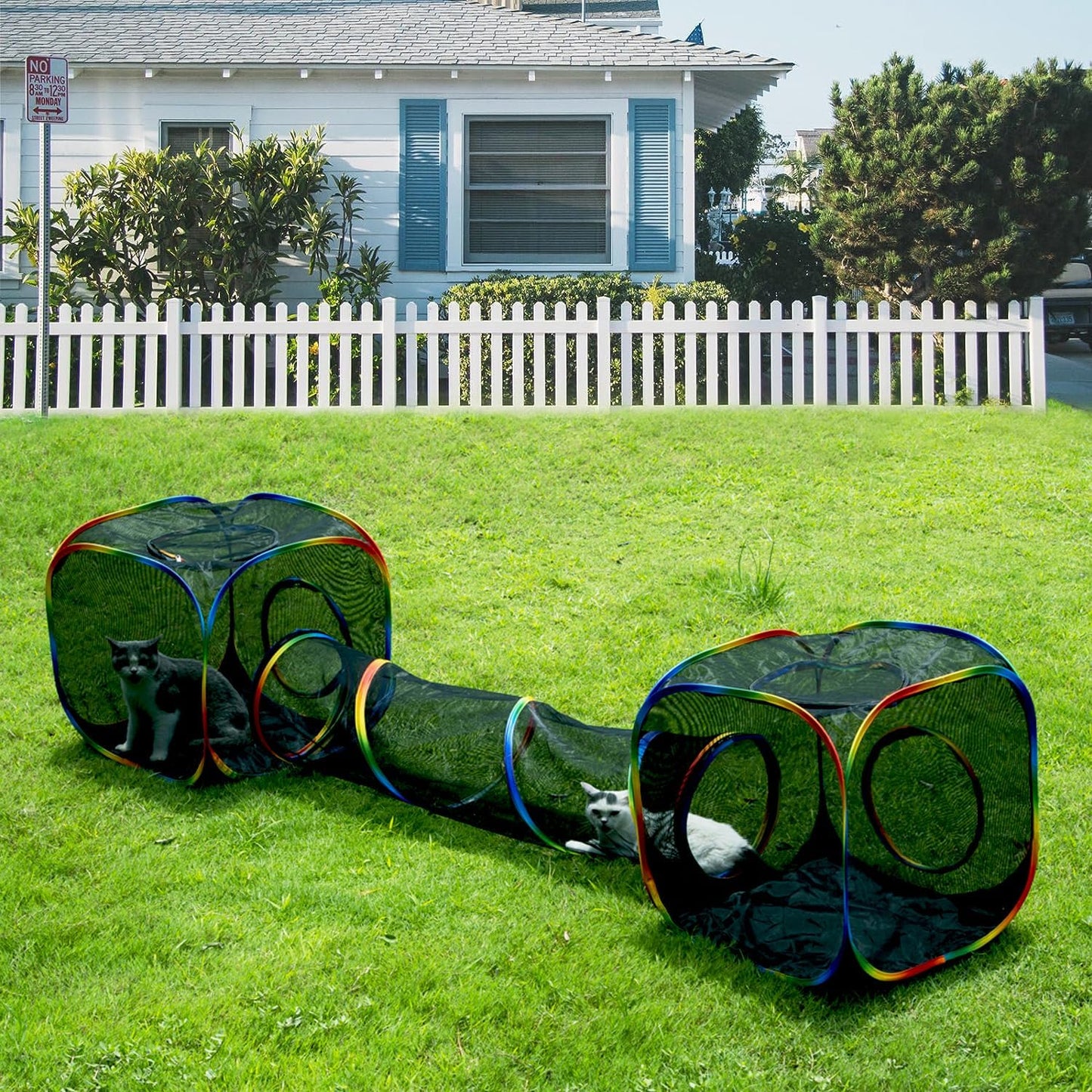 Outdoor Rainbow Cat Enclosures Playground for Happy Kitties