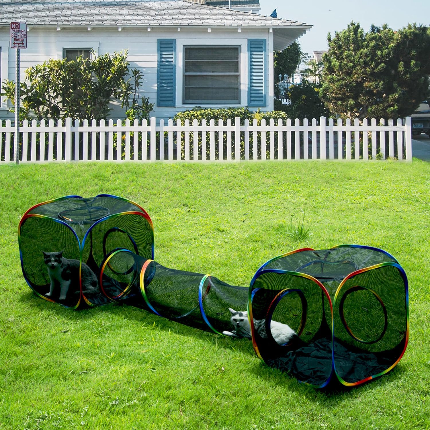 Outdoor Rainbow Cat Enclosures Playground for Happy Kitties