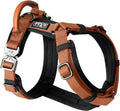 Y-Shaped Dog Harness Nevada Evening Size 5 - Premium Explorer Harness
