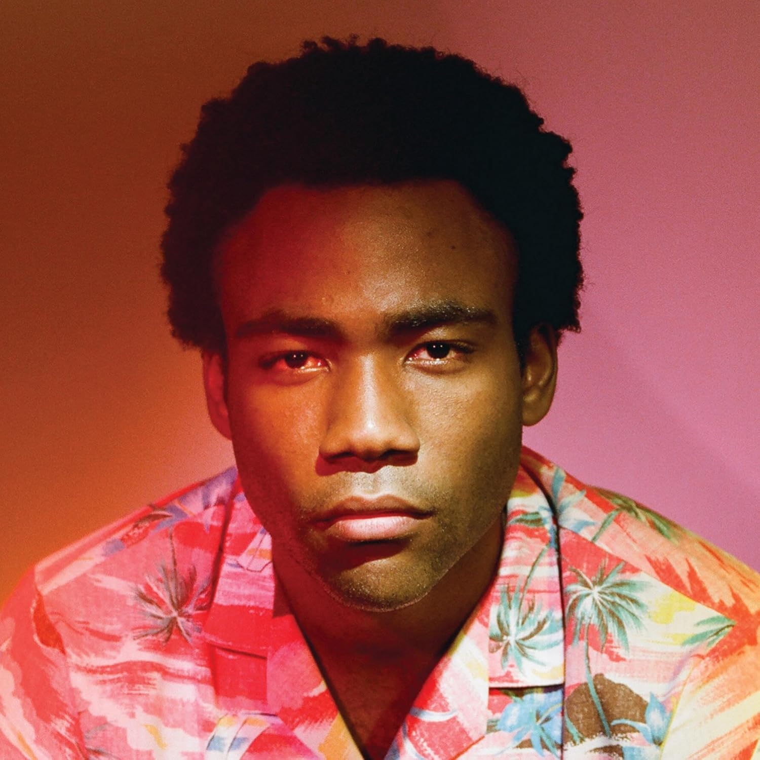 Because the Internet 2 LP Vinyl Album with Explicit Lyrics Review