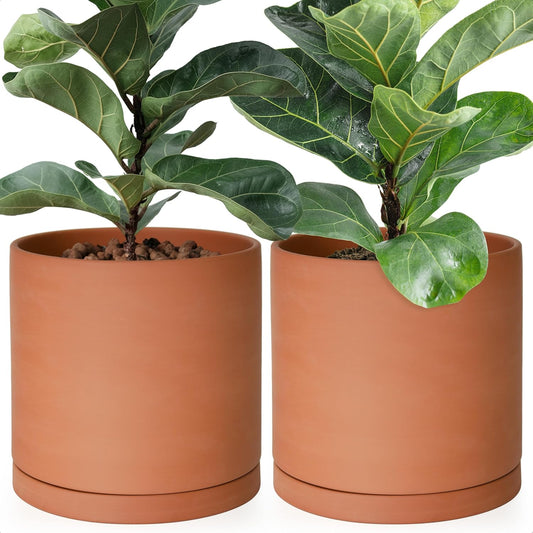 D'vine Dev Large 10 Inch Terracotta Plant Pot with Saucer