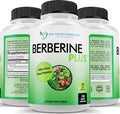 Berberine Plus 1200mg Per Serving - High Potency Berberine