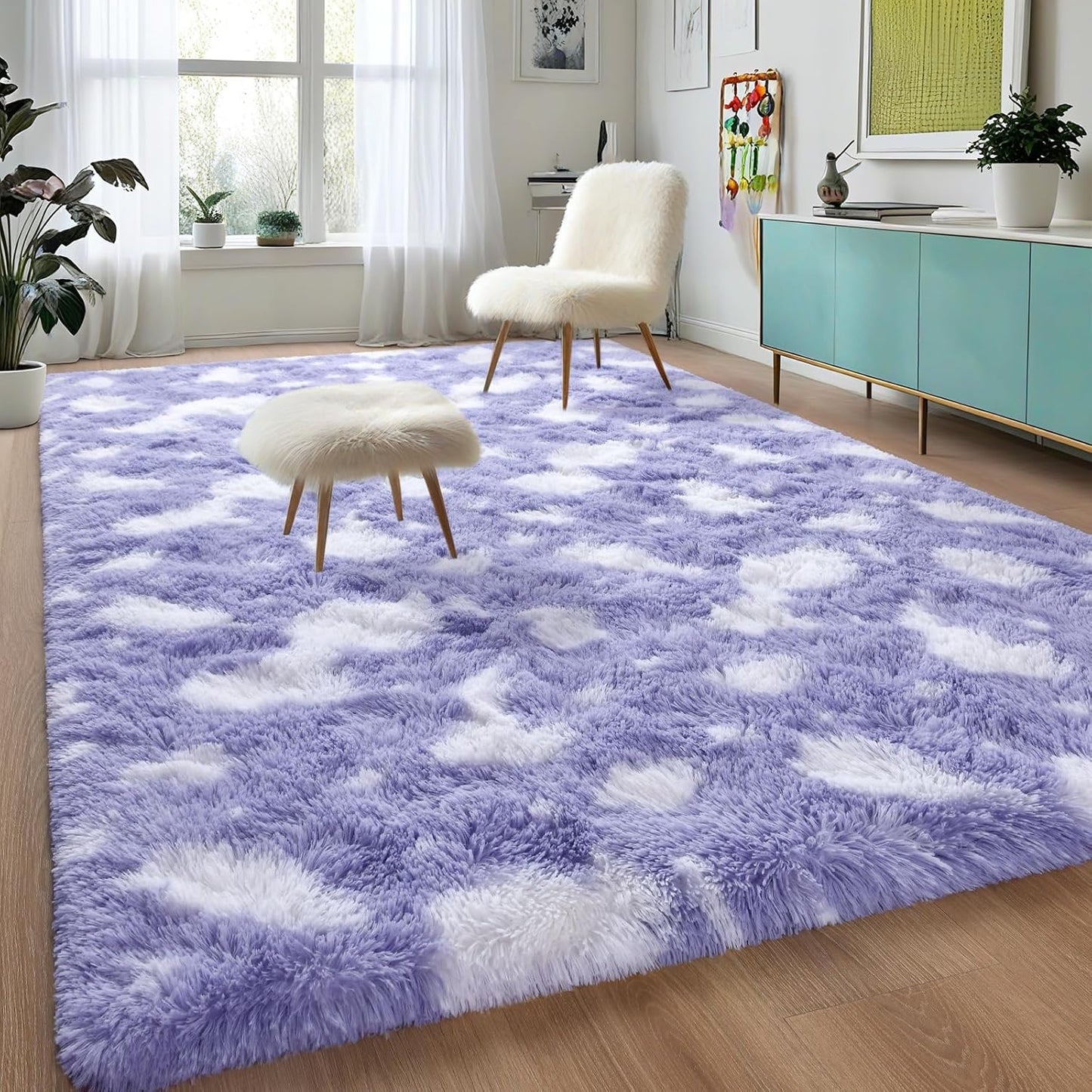 DweIke Fluffy Area Rugs for Bedroom and Living Room Decor