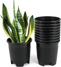 Wholesale Bulk Nursery Pot 4.5 in Black Plastic Planters - 30-Pack