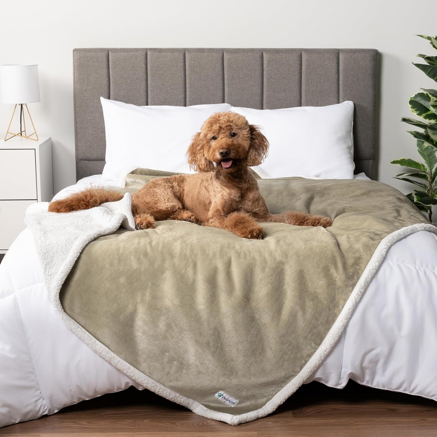PetAmi Waterproof Dog Blanket for Queen Bed and Couch Cover