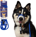 Sidekick No-Pull Leash Blue - Gentle Headcollar Training Tool