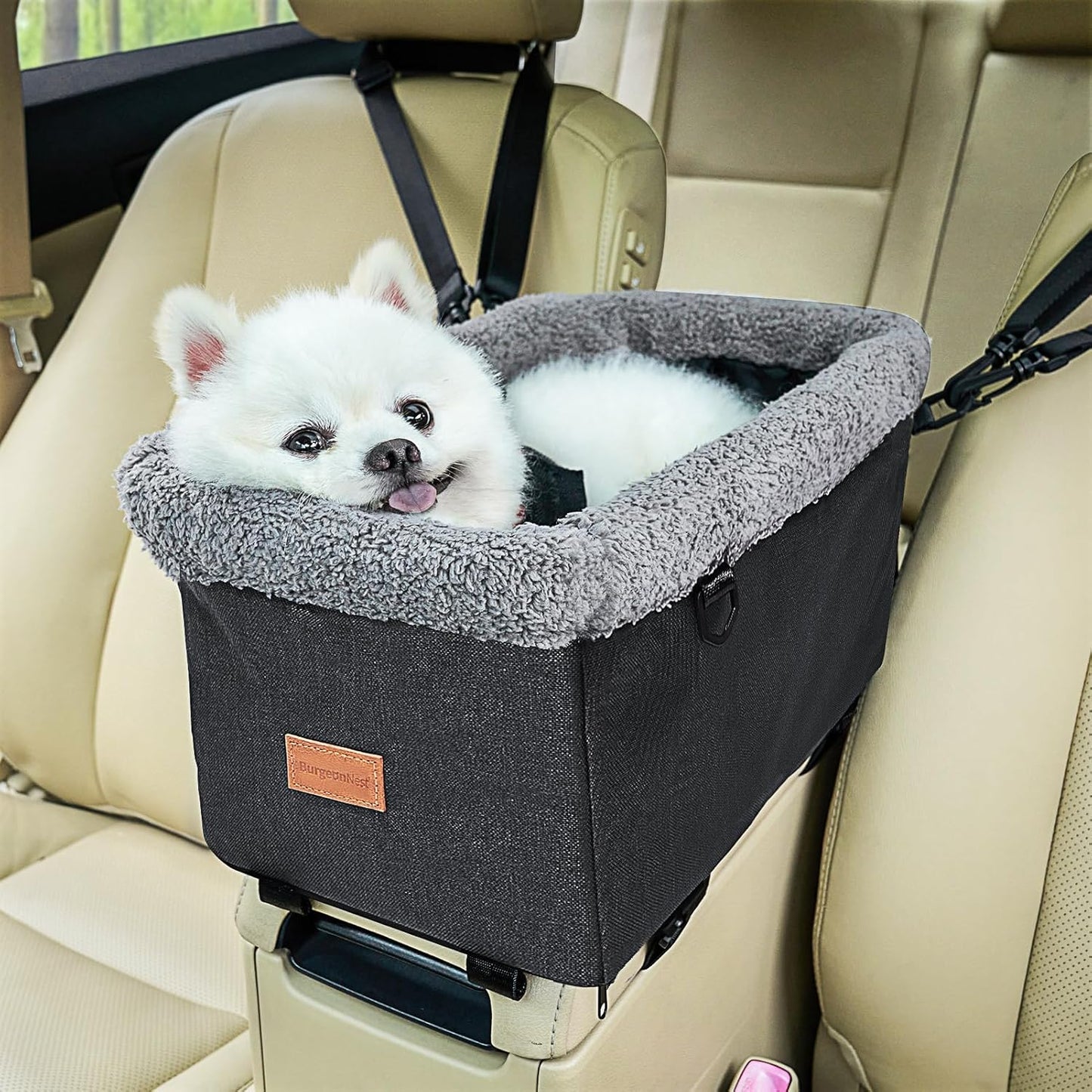 BurgeonNest Dog Carseat for Small Dog - Safe & Comfortable