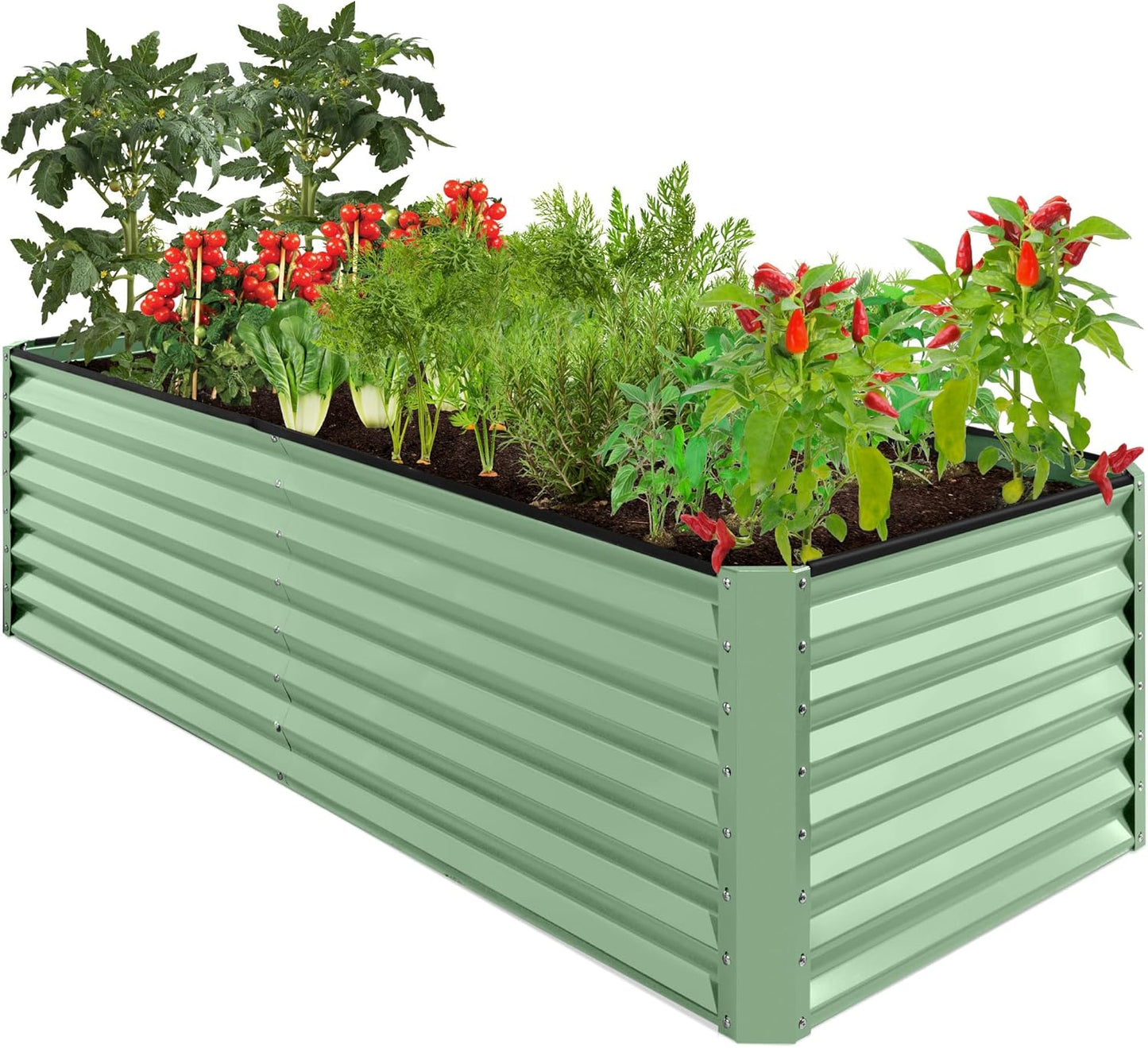 Outdoor Metal Raised Garden Bed for Vegetables and Flowers