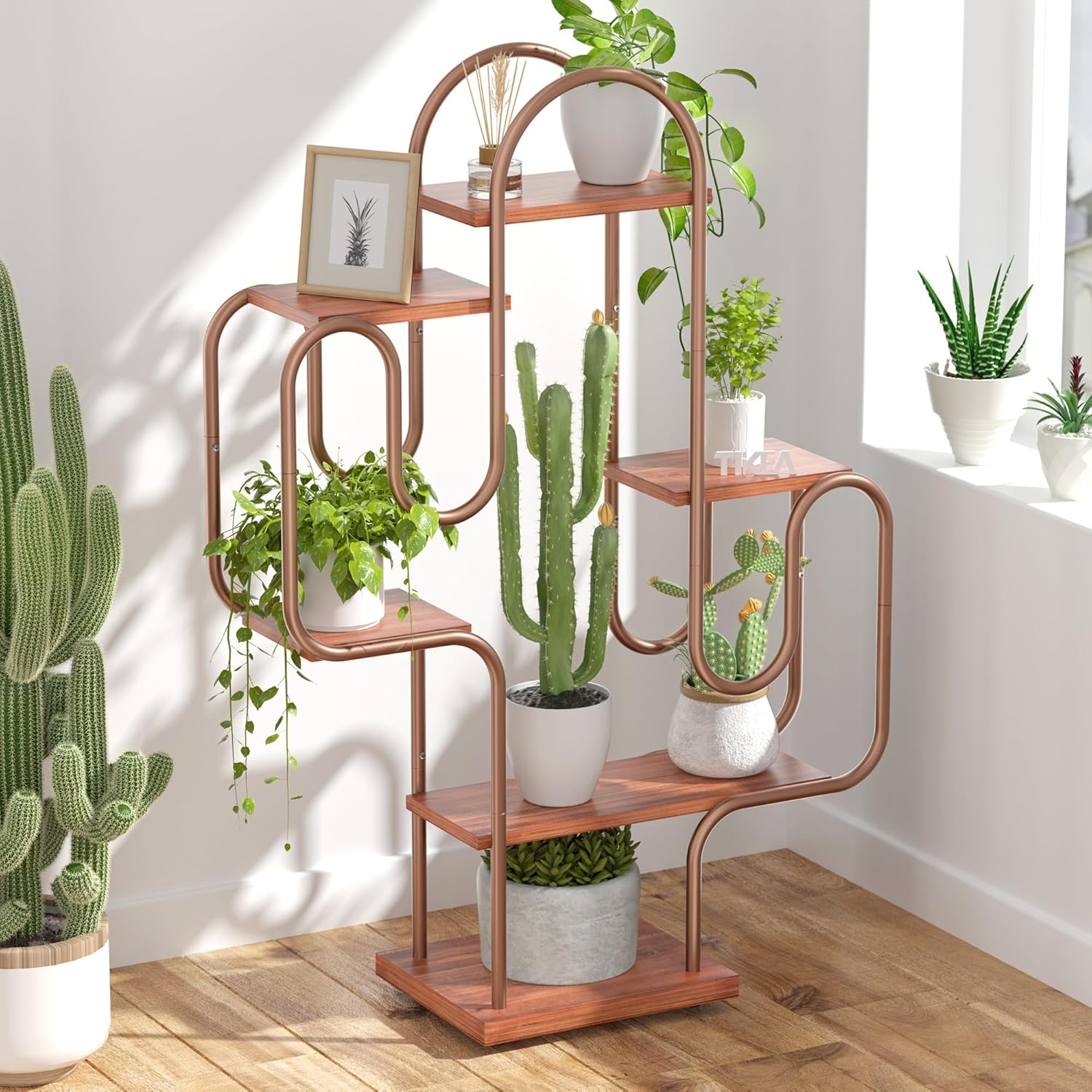Tikea Cactus Plant Stand Indoor for Stylish Home Decor