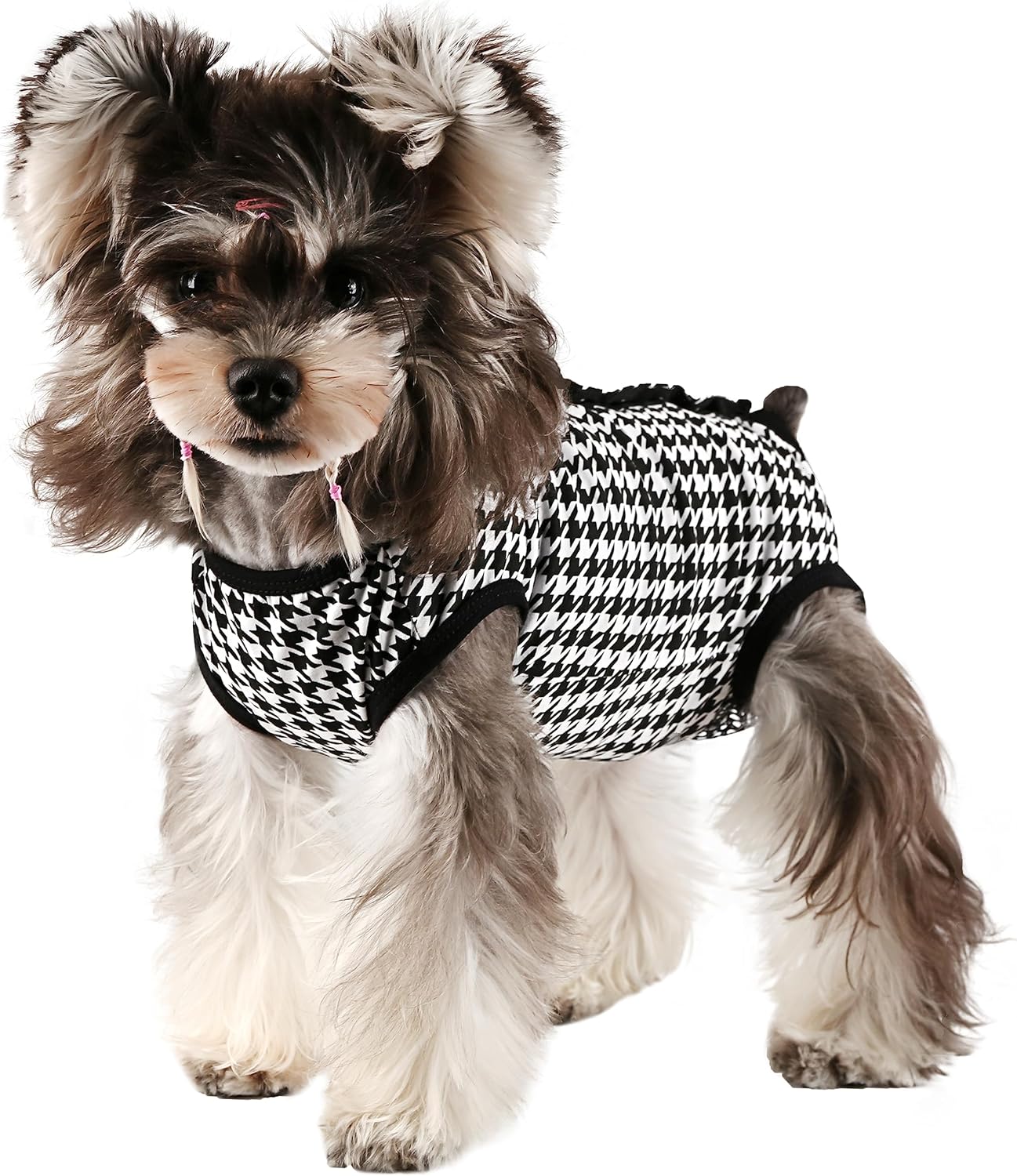 Etdane Dog Diapers: Premium Physiological Sanitary Panties