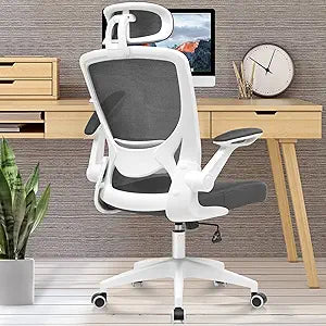 KERDOM Ergonomic Office Chair with Lumbar Support and Headrest